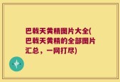 巴戟天黄精图片大全(巴戟天黄精的全部图片汇总，一网打尽)