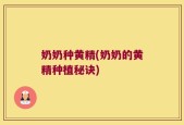 奶奶种黄精(奶奶的黄精种植秘诀)