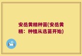 安岳黄精种苗(安岳黄精：种植从选苗开始)