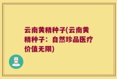 云南黄精种子(云南黄精种子：自然珍品医疗价值无限)