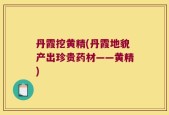 丹霞挖黄精(丹霞地貌产出珍贵药材——黄精)