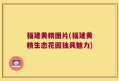 福建黄精图片(福建黄精生态花园独具魅力)