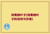 烧黄精叶子(烧黄精叶子的功效与作用)