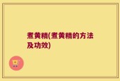 煮黄精(煮黄精的方法及功效)