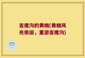 吉隆沟的黄精(黄精风光依旧，重游吉隆沟)