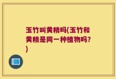 玉竹叫黄精吗(玉竹和黄精是同一种植物吗？)