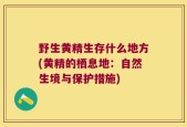 野生黄精生存什么地方(黄精的栖息地：自然生境与保护措施)