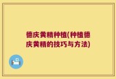 德庆黄精种植(种植德庆黄精的技巧与方法)
