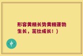 形容黄精长势黄精蓬勃生长，茁壮成长！)
