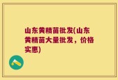 山东黄精苗批发(山东黄精苗大量批发，价格实惠)