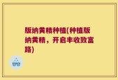 版纳黄精种植(种植版纳黄精，开启丰收致富路)