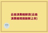 云南滇黄精鲜货(云南滇黄精现摘新鲜上市)