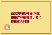 南充黄精的种苗(南充市推广种植黄精，专门提供优良种苗)