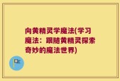 向黄精灵学魔法(学习魔法：跟随黄精灵探索奇妙的魔法世界)