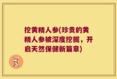 挖黄精人参(珍贵的黄精人参被深度挖掘，开启天然保健新篇章)