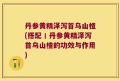 丹参黄精泽泻首乌山楂(搭配丨丹参黄精泽泻首乌山楂的功效与作用)
