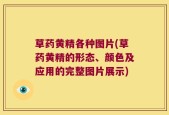 草药黄精各种图片(草药黄精的形态、颜色及应用的完整图片展示)
