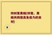 桦树茸黄精(桦茸、黄精共同提高免疫力的食材)