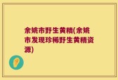 余姚市野生黄精(余姚市发现珍稀野生黄精资源)