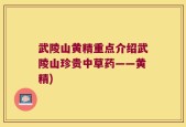 武陵山黄精重点介绍武陵山珍贵中草药——黄精)