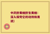 中药野黄精野生黄精：深入探究它的功效和用途)