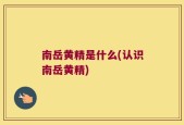 南岳黄精是什么(认识南岳黄精)
