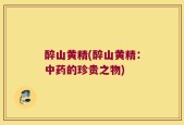 醉山黄精(醉山黄精：中药的珍贵之物)