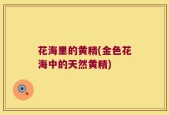 花海里的黄精(金色花海中的天然黄精)