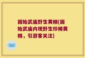 固始武庙野生黄精(固始武庙内现野生珍稀黄精，引游客关注)