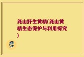 尧山野生黄精(尧山黄精生态保护与利用探究)