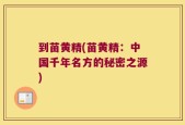 到苗黄精(苗黄精：中国千年名方的秘密之源)