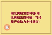湖北黄精生态种植(湖北黄精生态种植：可持续产业助力乡村振兴)
