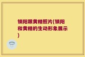 锁阳跟黄精照片(锁阳和黄精的生动形象展示)