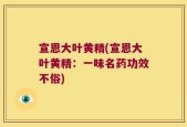 宣恩大叶黄精(宣恩大叶黄精：一味名药功效不俗)
