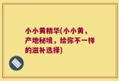 小小黄精华(小小黄，产地秘境，给你不一样的滋补选择)