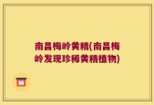 南昌梅岭黄精(南昌梅岭发现珍稀黄精植物)