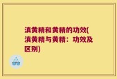 滇黄精和黄精的功效(滇黄精与黄精：功效及区别)