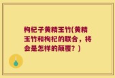 枸杞子黄精玉竹(黄精玉竹和枸杞的联合，将会是怎样的颠覆？)