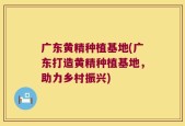 广东黄精种植基地(广东打造黄精种植基地，助力乡村振兴)