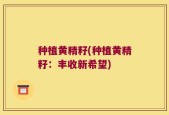 种植黄精籽(种植黄精籽：丰收新希望)