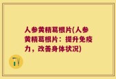 人参黄精葛根片(人参黄精葛根片：提升免疫力，改善身体状况)