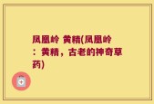 凤凰岭 黄精(凤凰岭：黄精，古老的神奇草药)