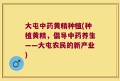 大屯中药黄精种植(种植黄精，倡导中药养生——大屯农民的新产业)