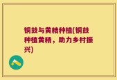 铜鼓与黄精种植(铜鼓种植黄精，助力乡村振兴)