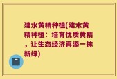 建水黄精种植(建水黄精种植：培育优质黄精，让生态经济再添一抹新绿)