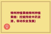 柳州种植黄精柳州种植黄精：挖掘传统中药资源，带动农业发展)