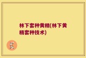林下套种黄精(林下黄精套种技术)