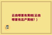 云南哪里有黄精(云南哪里有出产黄精？)