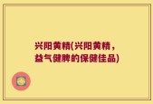 兴阳黄精(兴阳黄精，益气健脾的保健佳品)