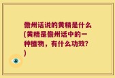 儋州话说的黄精是什么(黄精是儋州话中的一种植物，有什么功效？)
